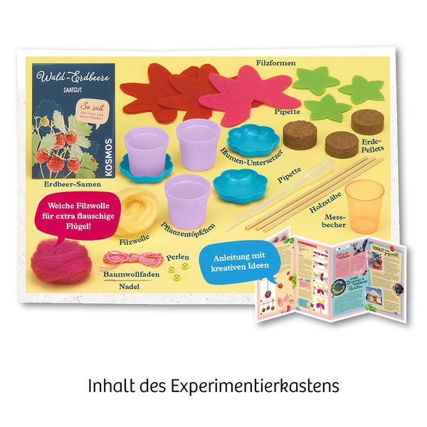 Produktbild: KOSMOS - Feen-Erdbeeren
