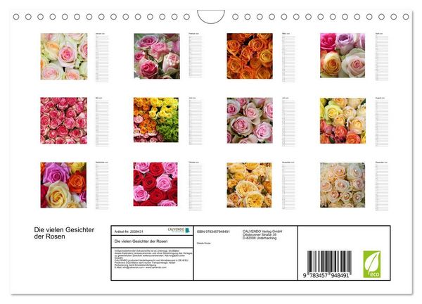 Produktbild: Die vielen Gesichter der Rosen (Wandkalender 2026 DIN A4 quer), CALVENDO Monatskalender