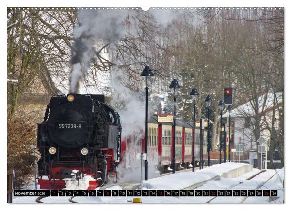 Produktbild: Schmalspurbahnen in Sachsen Anhalt (Wandkalender 2026 DIN A2 quer), CALVENDO Monatskalender
