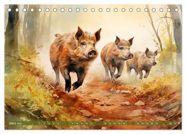 Produktbild: Zw&ouml;lf Monate im Wald (Tischkalender 2026 DIN A5 quer), CALVENDO Monatskalender
