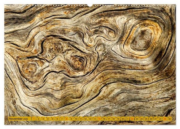 Produktbild: Faszination HOLZ - Strukturen (hochwertiger Premium Wandkalender 2026 DIN A2 quer), Kunstdruck in Hochglanz
