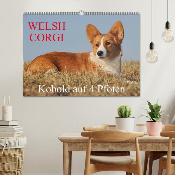 Produktbild: Welsh Corgi - Kobold auf 4 Pfoten (Wandkalender 2026 DIN A2 quer), CALVENDO Monatskalender