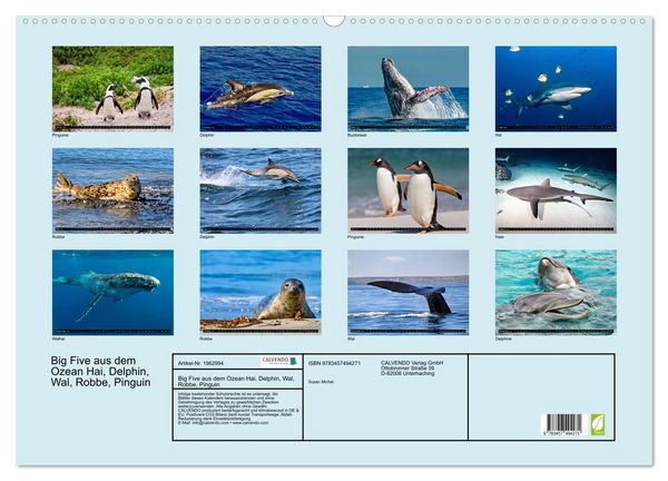 Produktbild: Big Five aus dem Ozean Hai, Delphin, Wal, Robbe, Pinguin (Wandkalender 2026 DIN A2 quer), CALVENDO Monatskalender