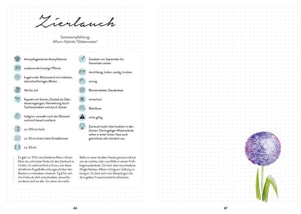 Produktbild: Mein Blumengarten &ndash; Das illustrierte Gartenbuch
