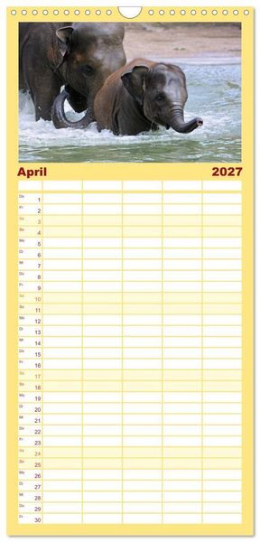 Produktbild: Familienplaner 2027 - Elefanten. Spa&szlig; am Wasser mit 5 Spalten (Wandkalender, 21 x 45 cm) CALVENDO