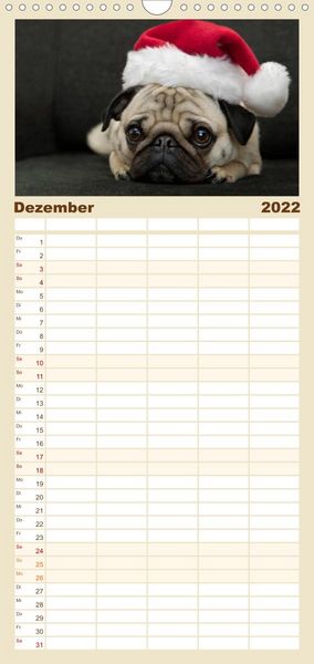 Produktbild: Mops - Familienplaner hoch (Wandkalender 2022 , 21 cm x 45 cm, hoch)