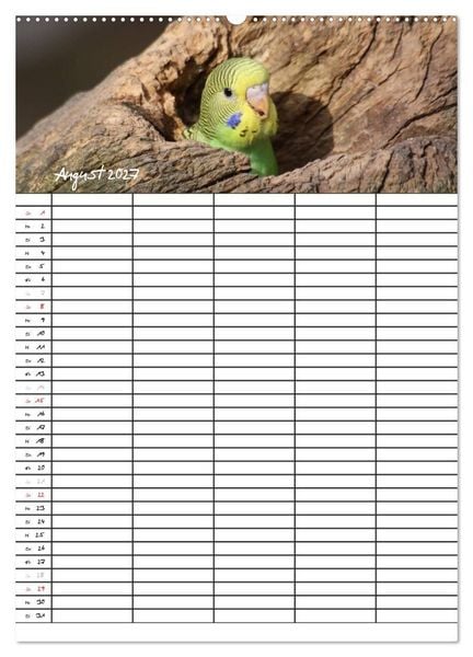 Produktbild: Wellensittiche (Wandkalender 2027 DIN A2 hoch), CALVENDO Monatskalender