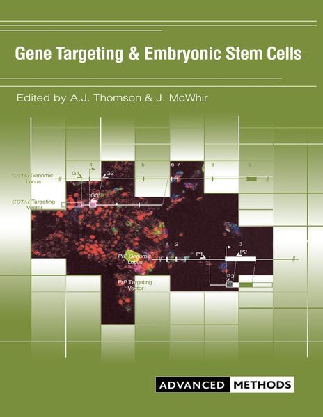 Produktbild: Gene Targeting and Embryonic Stem Cells
