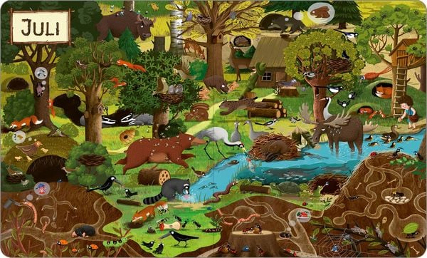 Produktbild: Ein Jahr im Wald