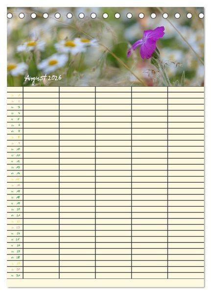 Produktbild: Kleine Natursch&ouml;nheiten (Tischkalender 2026 DIN A5 hoch), CALVENDO Monatskalender
