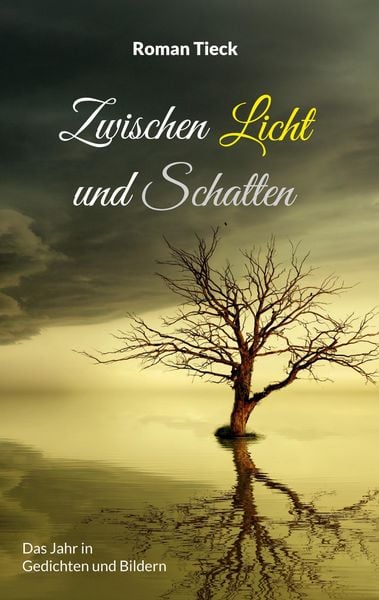 Produktbild: Zwischen Licht und Schatten