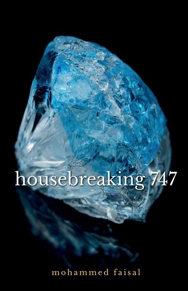 Produktbild: Housebreaking 747