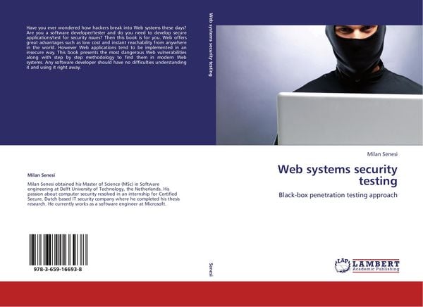 Produktbild: Web systems security testing