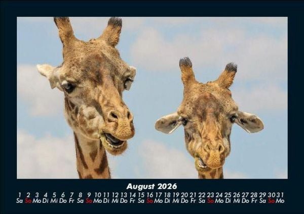 Produktbild: Tierkalender 2026 Fotokalender DIN A5