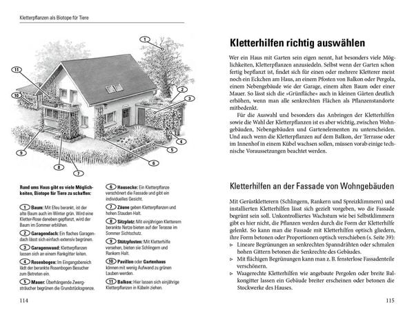 Produktbild: Gr&uuml;ne W&auml;nde f&uuml;r Haus und Garten