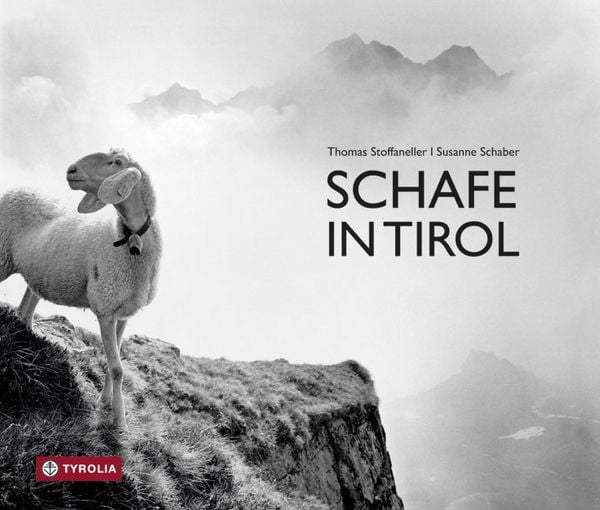 Produktbild: Schafe in Tirol