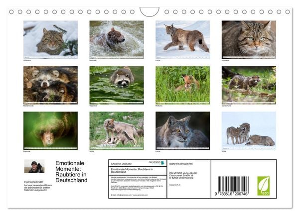 Produktbild: Emotionale Momente: Raubtiere in Deutschland (Wandkalender 2026 DIN A4 quer), CALVENDO Monatskalender