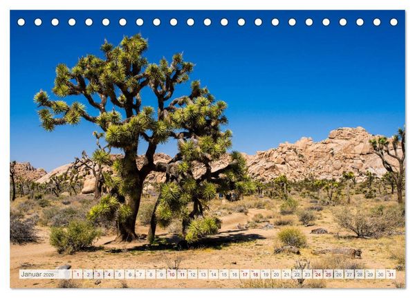Produktbild: Der S&uuml;dwesten der USA - Rundreise (Tischkalender 2026 DIN A5 quer), CALVENDO Monatskalender