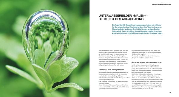 Produktbild: Aquascaping