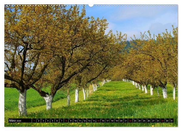 Produktbild: Die Wachau - An der Donau zwischen Melk und Krems (Wandkalender 2026 DIN A2 quer), CALVENDO Monatskalender