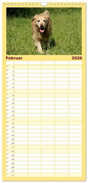 Produktbild: Familienplaner 2026 - Golden Retriever Power mit 5 Spalten (Wandkalender, 21 x 45 cm) CALVENDO