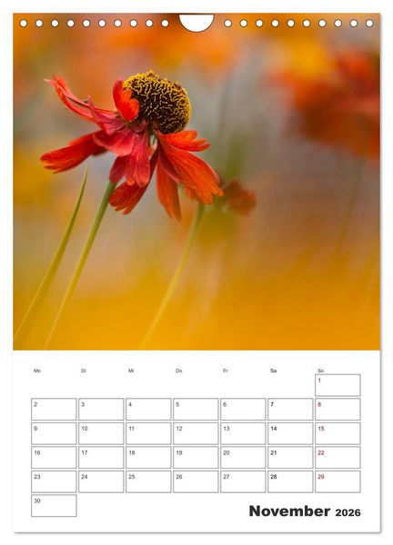 Produktbild: Farbiger Bl&uuml;tentraum (Wandkalender 2026 DIN A4 hoch), CALVENDO Monatskalender