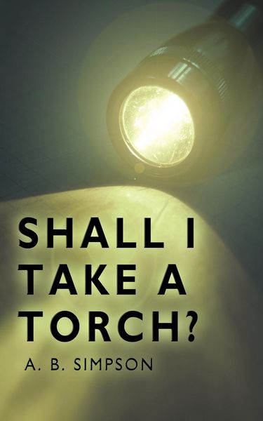 Produktbild: Shall I Take a Torch?