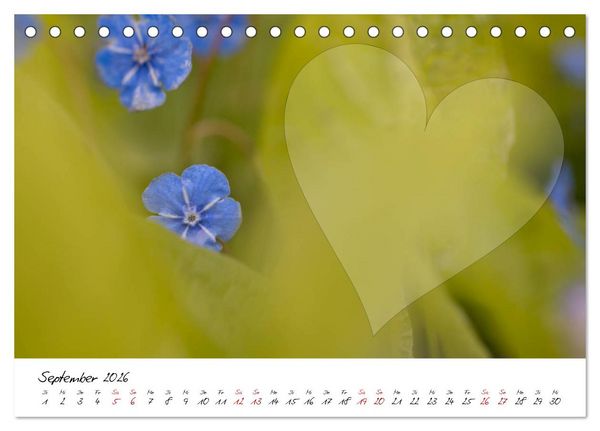 Produktbild: Blauer Bl&uuml;tentraum - Bastelkalender (Tischkalender 2026 DIN A5 quer), CALVENDO Monatskalender
