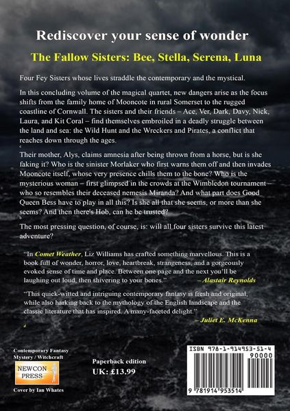 Produktbild: Salt on the Midnight Fire