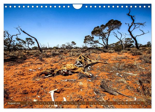 Produktbild: Outback Life - Australien (Wandkalender 2026 DIN A4 quer), CALVENDO Monatskalender