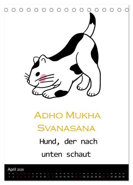 Produktbild: Yogakatzen - ganz entspannt im Hier und Jetzt (Tischkalender 2026 DIN A5 hoch), CALVENDO Monatskalender
