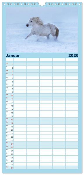 Produktbild: Familienplaner 2026 - Wei&szlig;e Pferde der Camargue in Bayern mit 5 Spalten (Wandkalender, 21 x 45 cm) CALVENDO