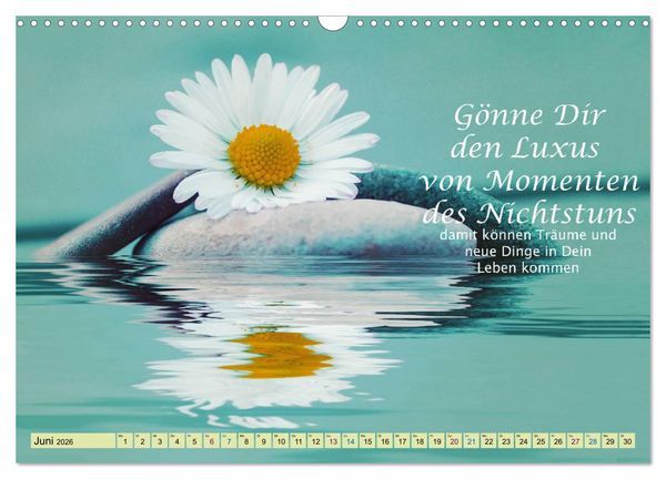 Produktbild: Spruchkalender - schau rein (Wandkalender 2026 DIN A3 quer), CALVENDO Monatskalender