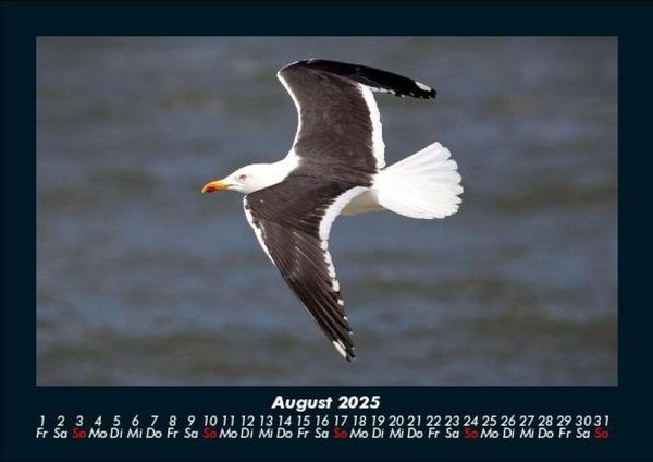 Produktbild: Vogelparadies 2025 Fotokalender DIN A5