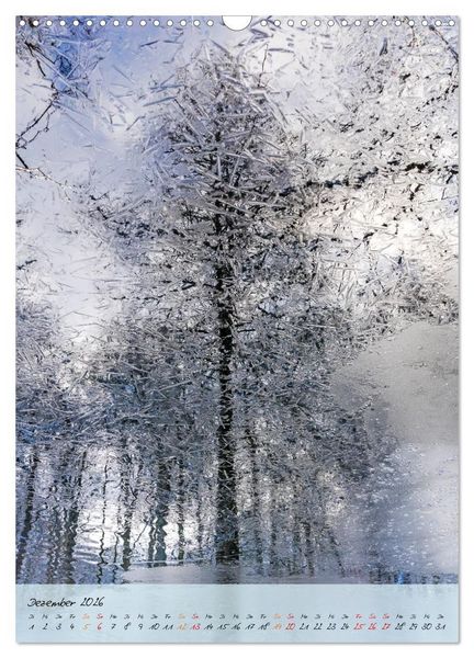 Produktbild: Wo der Wald tr&auml;umt (Wandkalender 2026 DIN A3 hoch), CALVENDO Monatskalender