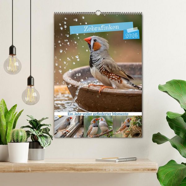 Produktbild: Zebrafinken - Ein Jahr voller gefiederter Momente (Wandkalender 2026 DIN A2 hoch), CALVENDO Monatskalender