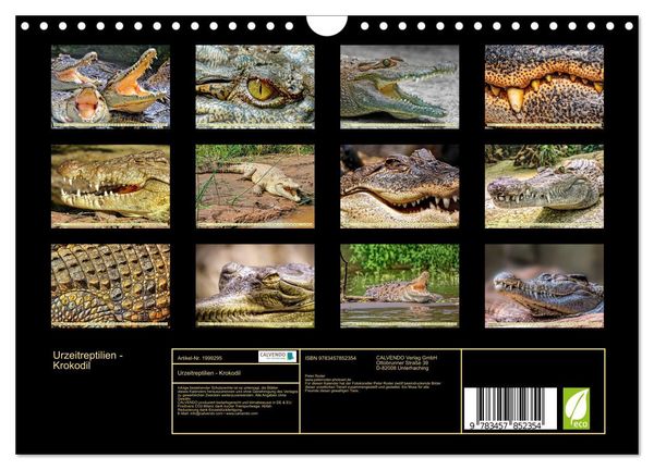 Produktbild: Urzeitreptilien - Krokodil (Wandkalender 2026 DIN A4 quer), CALVENDO Monatskalender