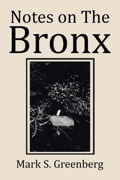Produktbild: Notes on The Bronx
