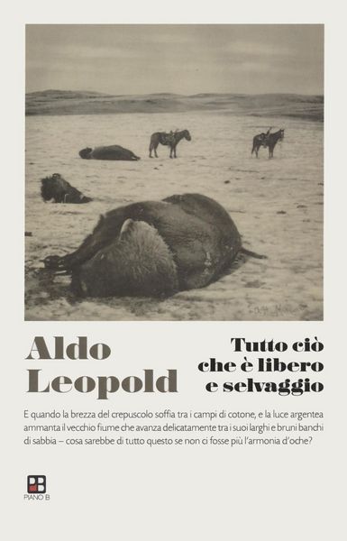 Produktbild: Tutto ci&ograve; che &egrave; libero e selvaggio