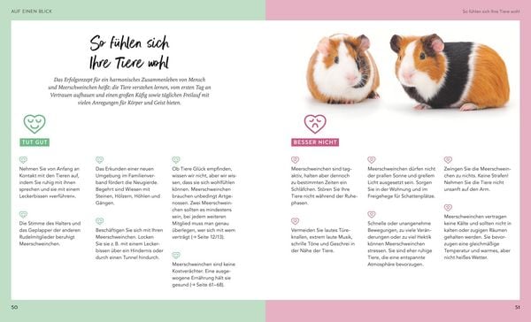 Produktbild: Meerschweinchen