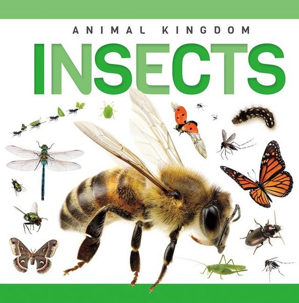 Produktbild: Insects