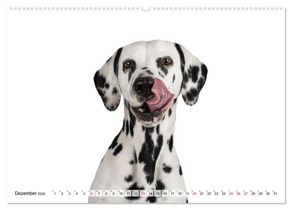 Produktbild: Charakterk&ouml;pfe zum verlieben (Wandkalender 2026 DIN A2 quer), CALVENDO Monatskalender