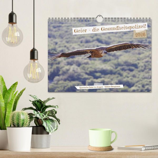 Produktbild: Geier - die Gesundheitspolizei! (Wandkalender 2026 DIN A4 quer), CALVENDO Monatskalender