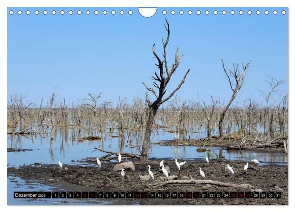 Produktbild: Faszination Botswana (Wandkalender 2026 DIN A4 quer), CALVENDO Monatskalender
