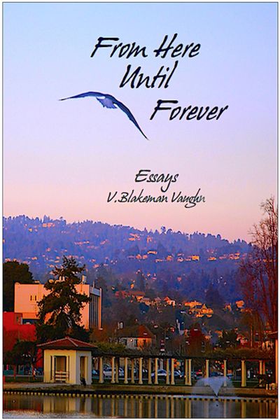 Produktbild: From Here Until Forever