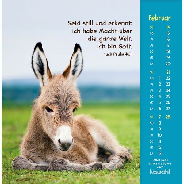 Produktbild: Gottes Liebe ist wie die Sonne 2027