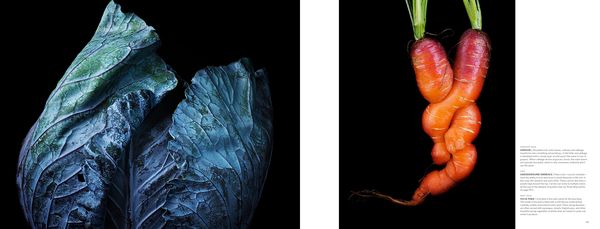 Produktbild: Food & Drink