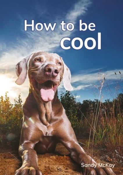 Produktbild: How to be cool