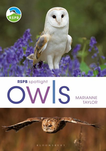 Produktbild: RSPB Spotlight Owls