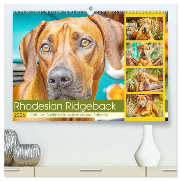 Rhodesian Ridgeback. Kraft und Sanftmut in vollkommener Balance (hochwertiger Premium Wandkalender 2026 DIN A2 quer), Kunstdruck in Hochglanz